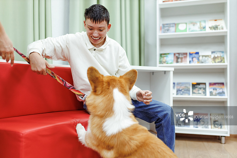 患有唐氏综合征的青少年和一只友好的狗在明亮的等候区一张现代化的红色沙发上玩牵引绳图片素材