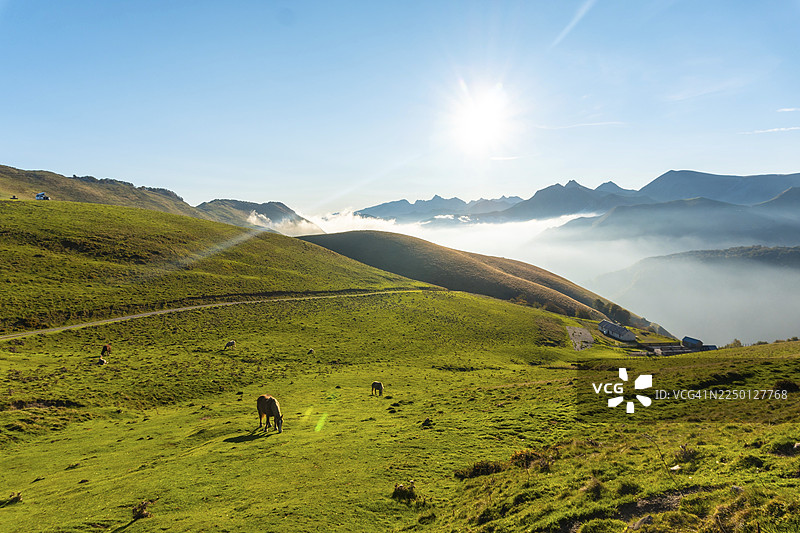 法国比利牛斯-大西洋省伊拉蒂森林或丛林中的拉劳山顶的日出图片素材