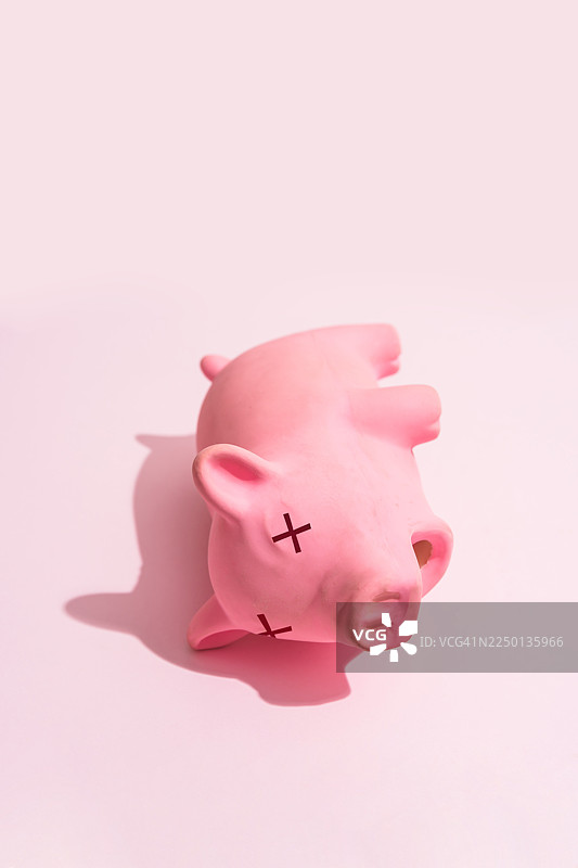 代表非洲猪瘟疾病的死猪玩具图片素材