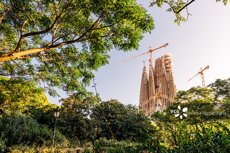 阳光明媚的早晨，巴塞罗那，西班牙，圣家族大教堂被树木环绕图片素材