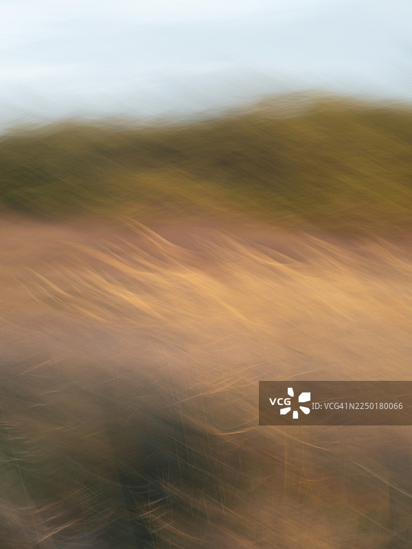 抽象视角，温暖的晚间光线下高高的干草，因扫掠运动而模糊，金色的茎秆融入柔和的绿色山坡和苍白的天空，形成平滑分层的绘画质感。故意进行的相机运动。图片素材