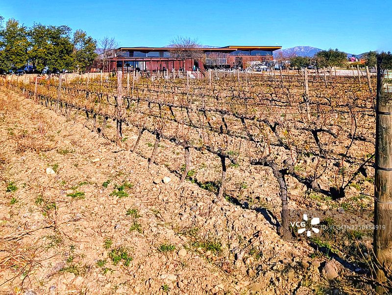 葡萄园图片素材