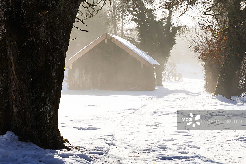 冬日森林里，被白雪覆盖的行人小径，远处有座笼罩在雾中的谷仓图片素材