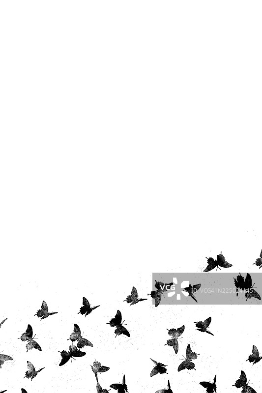 白色画布上的黑色蝴蝶图案绘画图片素材