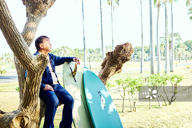 一位老人坐在树上，这是他早上查看海浪的日常。图片素材