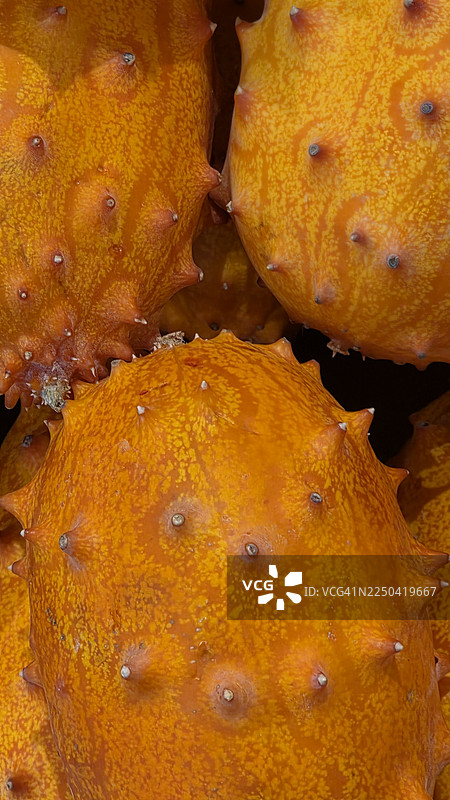 火龙果图片素材