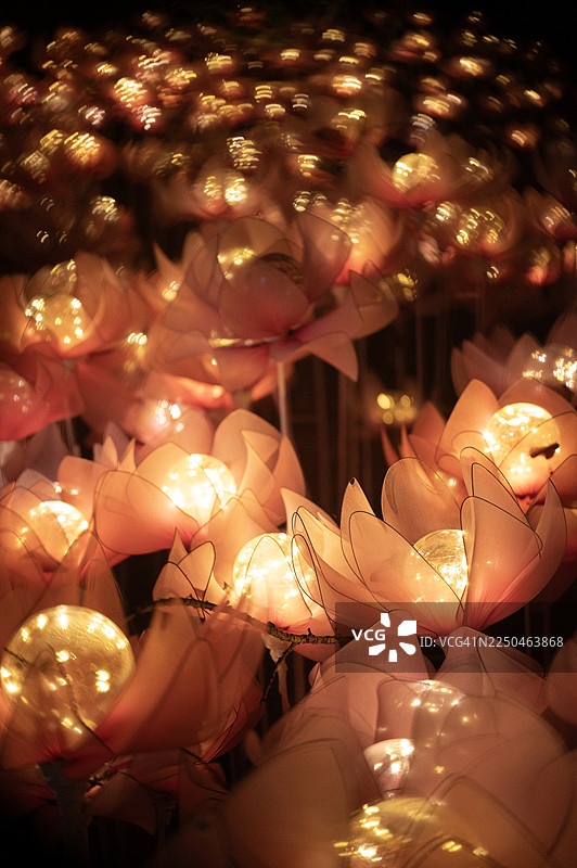 一片美丽的鲜花田，上面有灯光照射图片素材