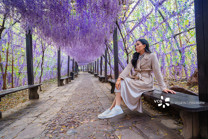 春天里，女子在紫色花隧道下放松图片素材