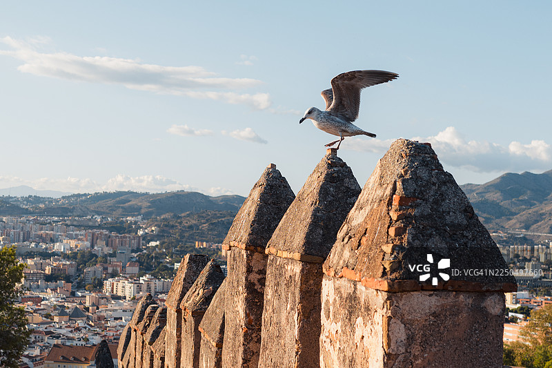 海鸥栖息在墙上，俯瞰着西班牙马拉加日落时分的城市景观和远处的山脉图片素材
