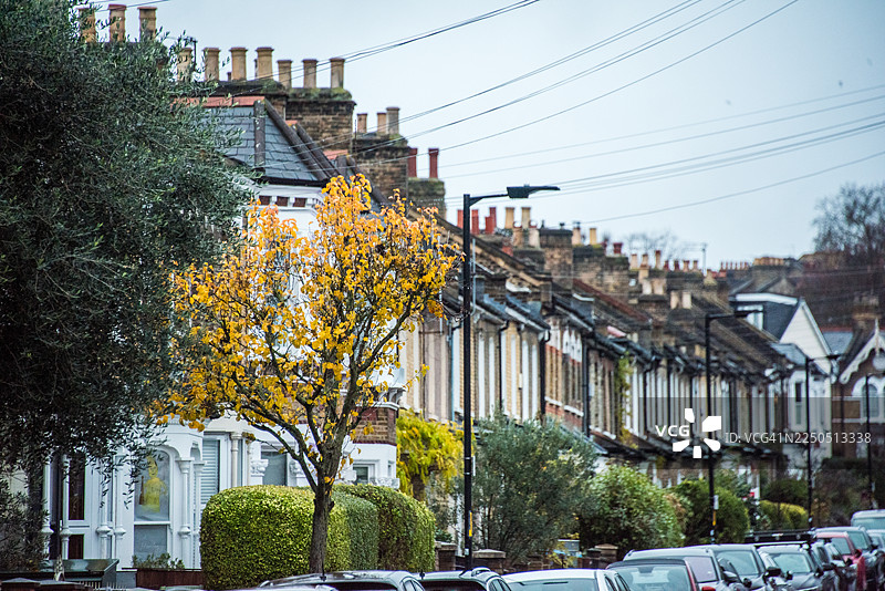 秋日树木环绕的维多利亚式联排别墅位于佩克汉姆图片素材