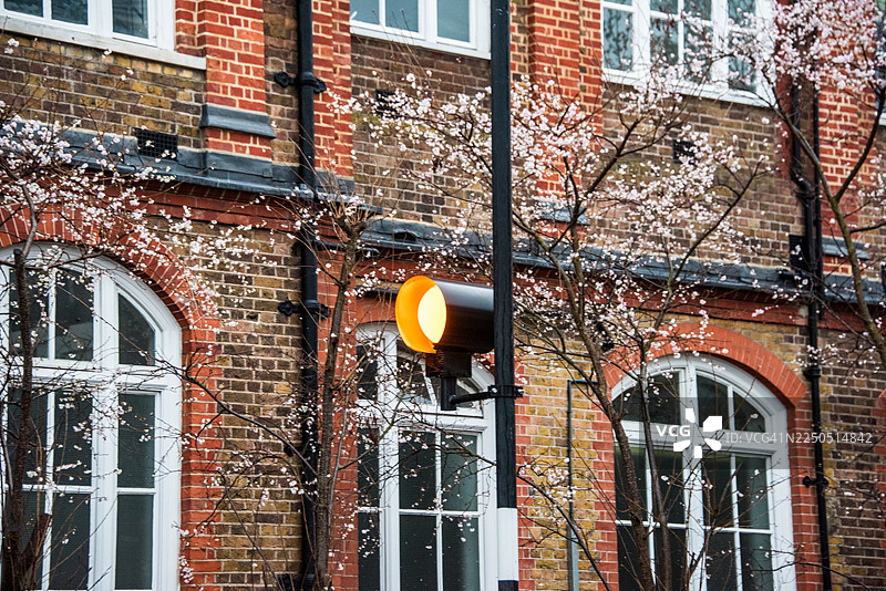 贝利沙灯柱与历史悠久的教学楼外墙图片素材