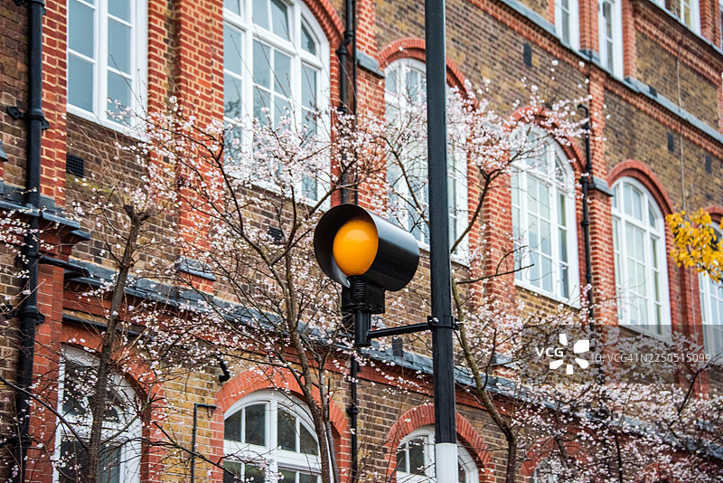 贝利沙灯柱与历史悠久的校舍外观图片素材
