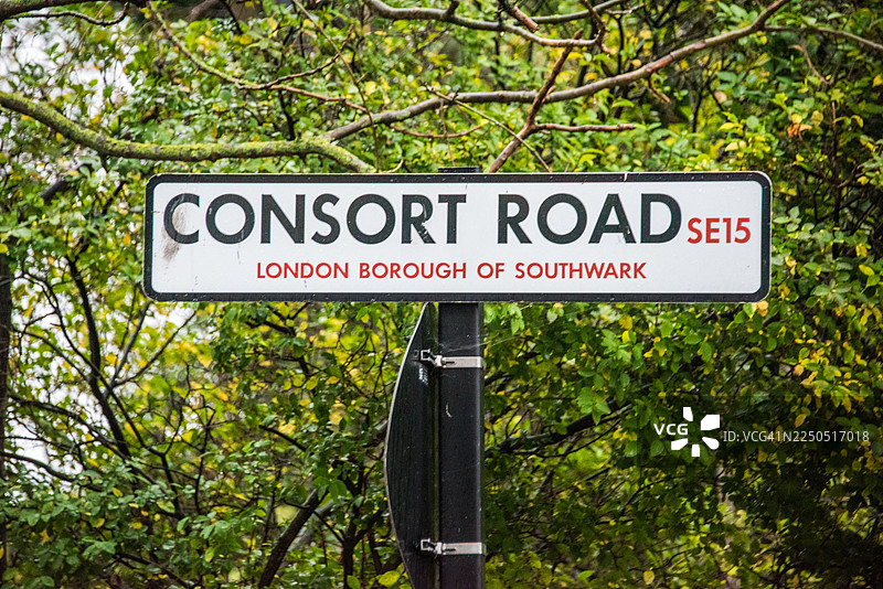 绿树环绕的康索特路路牌图片素材