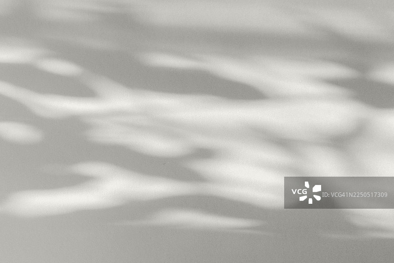 树枝和叶子在黄色纸张背景上投下阴影。有文字空间，复制空间，俯视。2026年度色彩，云舞者。图片素材