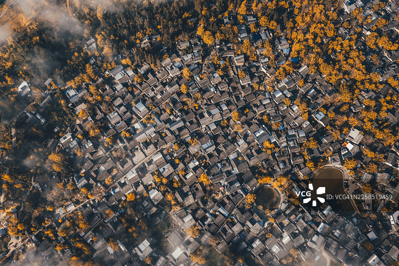 中国云南腾冲银杏村秋季航拍图片素材