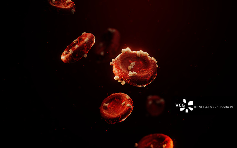 血管内的血细胞，人体解剖学，疾病图片素材