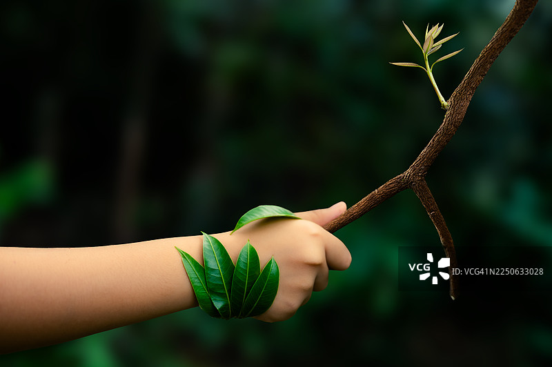 世界环境日，绿地，人类双手捧着大森林中的树枝的概念，横幅设计，海报和矢量插图图片素材