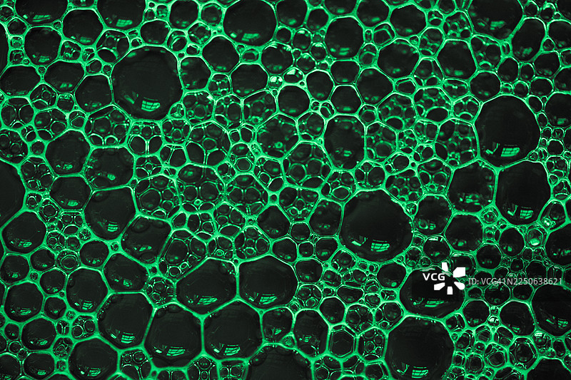 绿色调气泡纹理图片素材