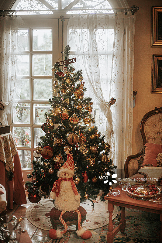 圣诞树，枝繁叶茂，装饰着温暖的童话灯，置身于雅致的客厅中图片素材