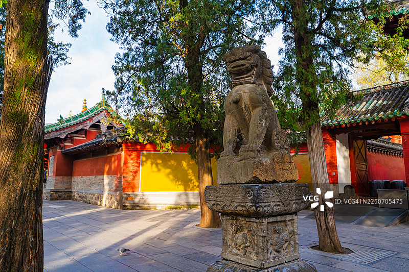 中国寺庙门口的古代石狮雕像图片素材