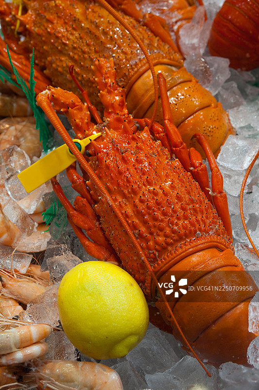 鱼市上的熟小龙虾图片素材