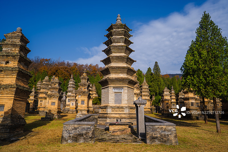 中国古寺森林中的石塔图片素材