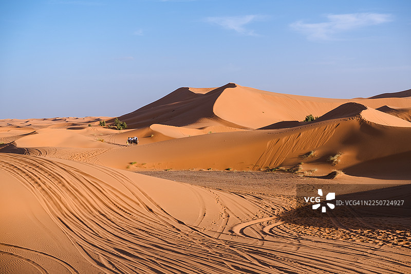 撒哈拉沙漠梅尔祖卡沙丘的风景照，阳光明媚，蓝天白云。图片素材