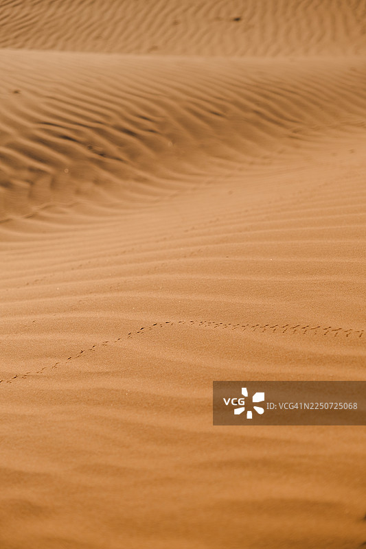 撒哈拉沙漠的沙子特写图片素材