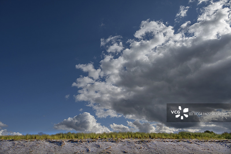 海滨燕麦草（Ammophila），雨层云（Nimbostratus），波罗的海，达尔斯，梅克伦堡-前波美拉尼亚，德国图片素材