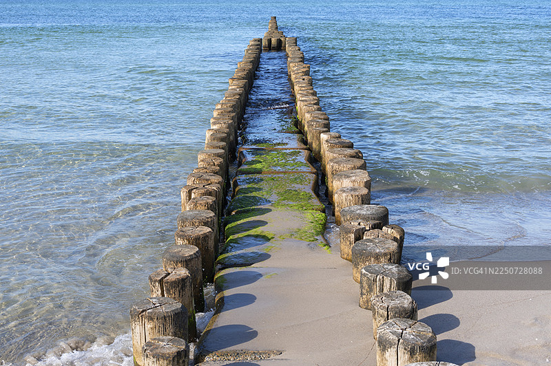 波罗的海的沟壑，阿伦德霍普，达尔斯，梅克伦堡-前波美拉尼亚，德国图片素材