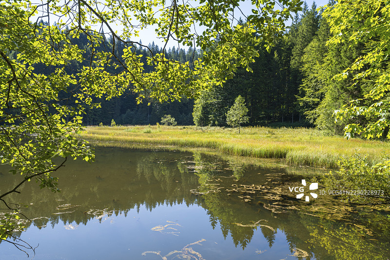 苏腾湖附近风景，湿地，曼格法尔山，罗塔赫-埃格恩，上巴伐利亚，巴伐利亚，德国图片素材