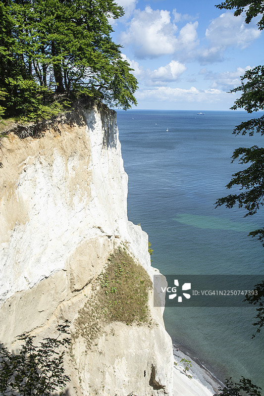 丹麦法罗岛省蒙岛上的蒙斯克林特白垩悬崖，波罗的海，斯堪的纳维亚图片素材