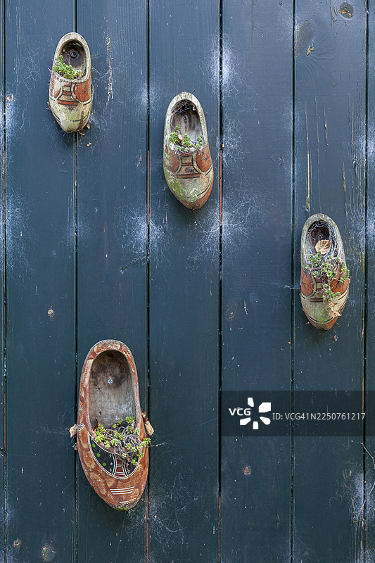 装饰用的鞋子、木门、奥斯特伦德、特塞尔岛、北荷兰省、荷兰图片素材