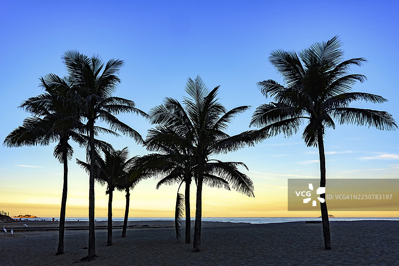 巴西里约热内卢伊帕内玛海滩的夏日日落，有椰子树、阿普多尔岩石图片素材