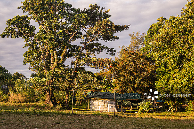 瓦努阿图谢法省恩古纳岛塔洛阿村庄景观图片素材