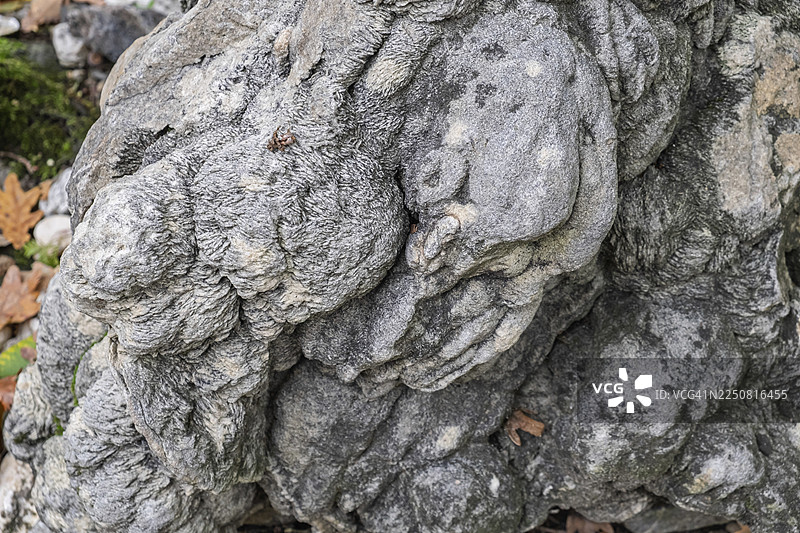 沙玫瑰,重晶石,沉积岩,第三纪地质年代,距今4000万年,明斯特兰,北莱茵-威斯特法伦州,德国图片素材