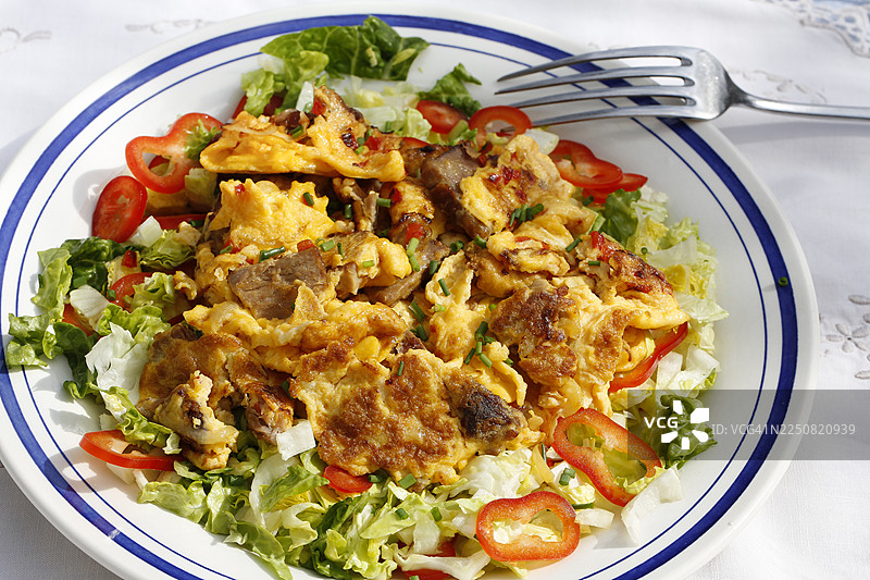 施瓦本美食，猫的粥，剩菜，剩菜利用，肉配鸡蛋，施瓦本炒蛋，蔬菜，洋葱，摆在盘子里，沙拉床，沙拉心，红辣椒，叉子，祖母的厨房，地方性，家常菜，典型的施瓦本风味图片素材