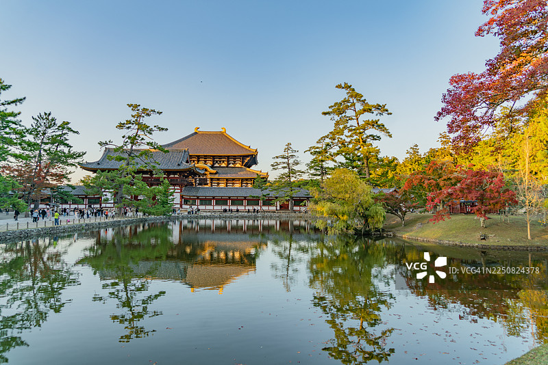 日本奈良东大寺寺庙外的花园景观图片素材