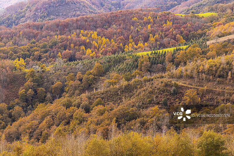 秋季从伊伦镇的埃尔拉伊茨山（Mount Erlaitz）看到的佩尼亚斯德阿亚山（Mount Peñas de Aya）和艾亚科哈里亚（Aiako Harria）的景色，位于吉普斯夸省巴斯克地区。图片素材