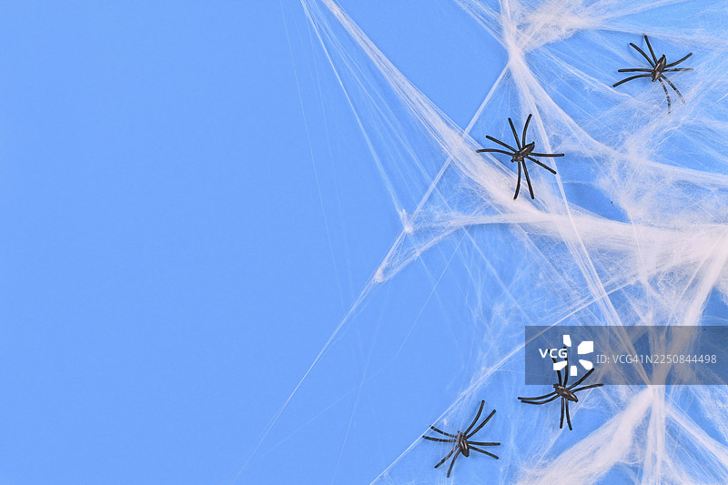 蓝色的万圣节背景上装饰着蜘蛛网和塑料蜘蛛，留有空白的复制空间图片素材