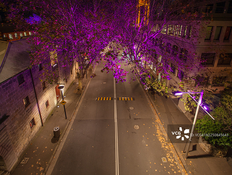 悉尼岩石区历史悠久的阿盖尔街与灯光璀璨的树木图片素材