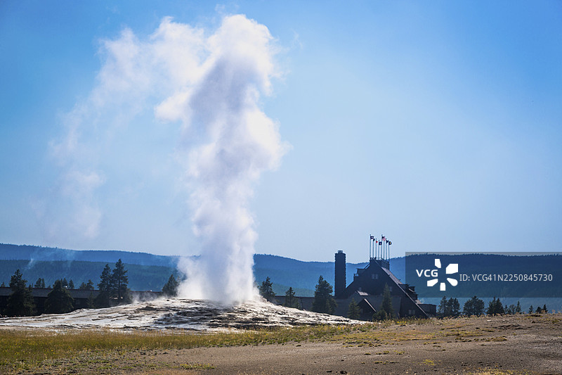 黄石国家公园的老忠实间歇泉正在喷发图片素材