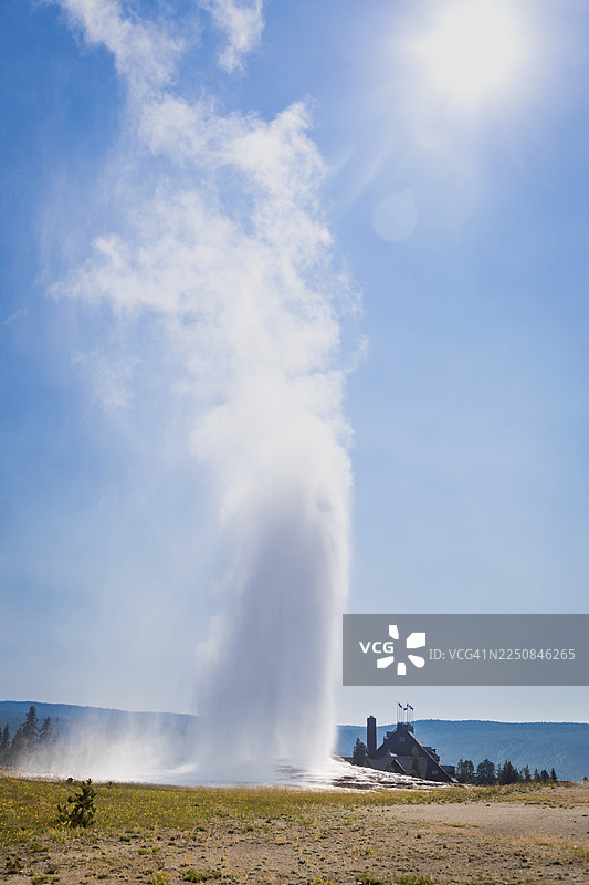 黄石国家公园的老忠实间歇泉正在喷发图片素材