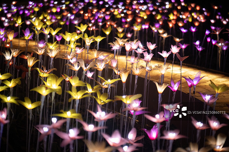 一片美丽的鲜花田，上面有灯光照射图片素材