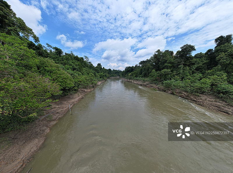 印度尼西亚西南巴布亚省坦布劳的河流与丛林图片素材