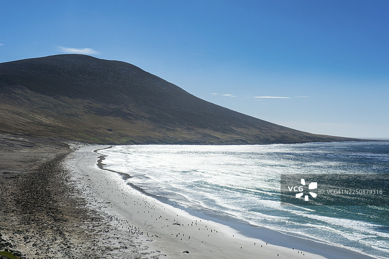 南美洲福克兰群岛桑德斯岛的颈峡部图片素材