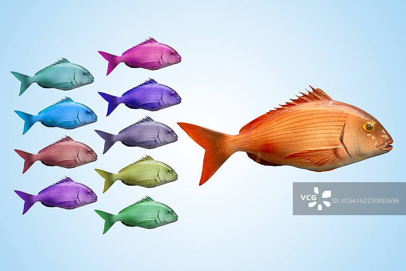 脱颖而出的概念图片素材