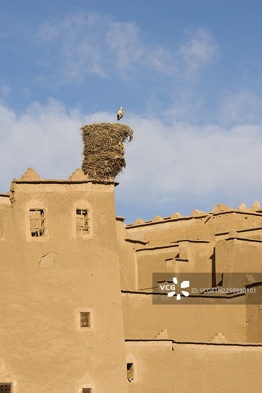 摩洛哥南部，瓦尔扎扎特镇，高等阿特拉斯山脉南部的陶里特卡斯巴古堡巢中的白鹳（Ciconia ciconia）图片素材