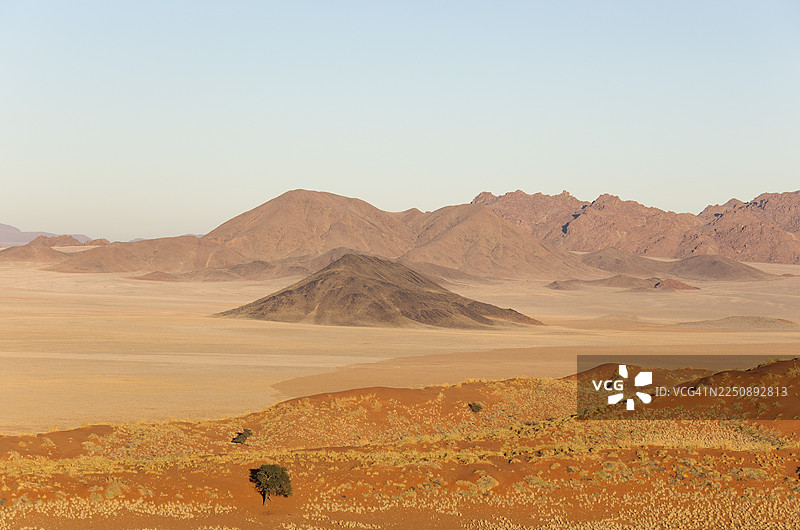 纳米布沙漠边缘，沙丘覆盖着布须曼草（Stipagrostis sp.），干旱的沙漠平原和孤立的山脊，树木为驼刺树（Acacia erioloba），纳米布兰德自然保护区，纳米布。图片素材