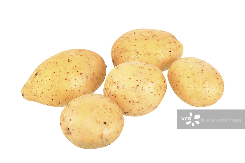 土豆，贝拉娜品种图片素材